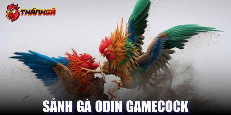 Đôi nét về sảnh gà Odin Gamecock