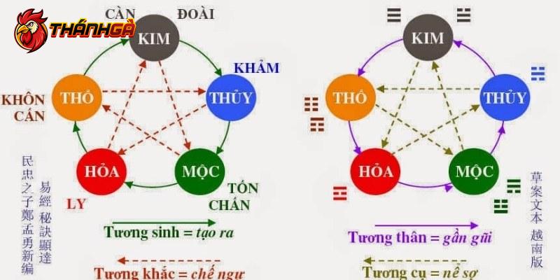 Bảng màu mạng gà thường được dựa trên ngũ hành phong thủy