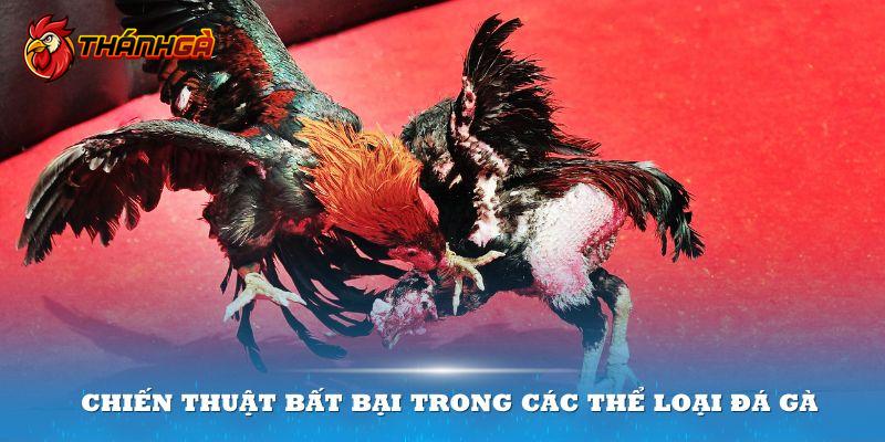 Chiến thuật bất bại trong các thể loại đá gà